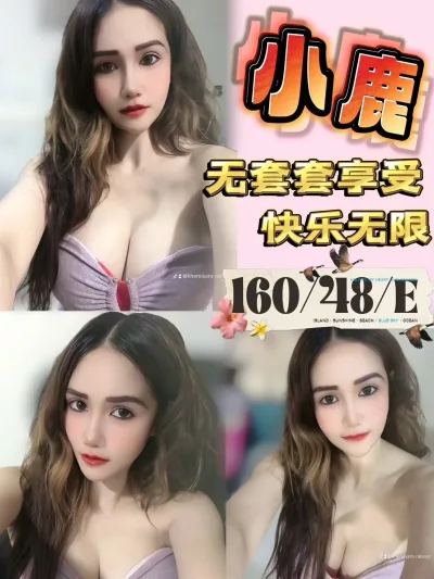 台中定點茶-小鹿